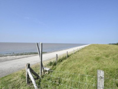 Holiday park Chalet by Wadden Sea with Sunny Garden - Environment photo 19