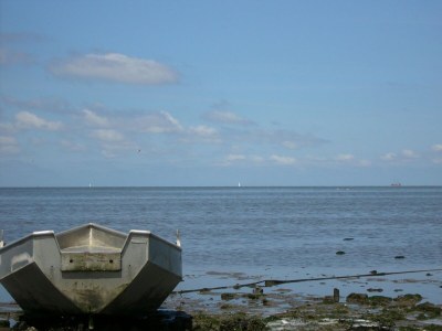 Holiday park Chalet by Wadden Sea with Sunny Garden - Environment photo 24
