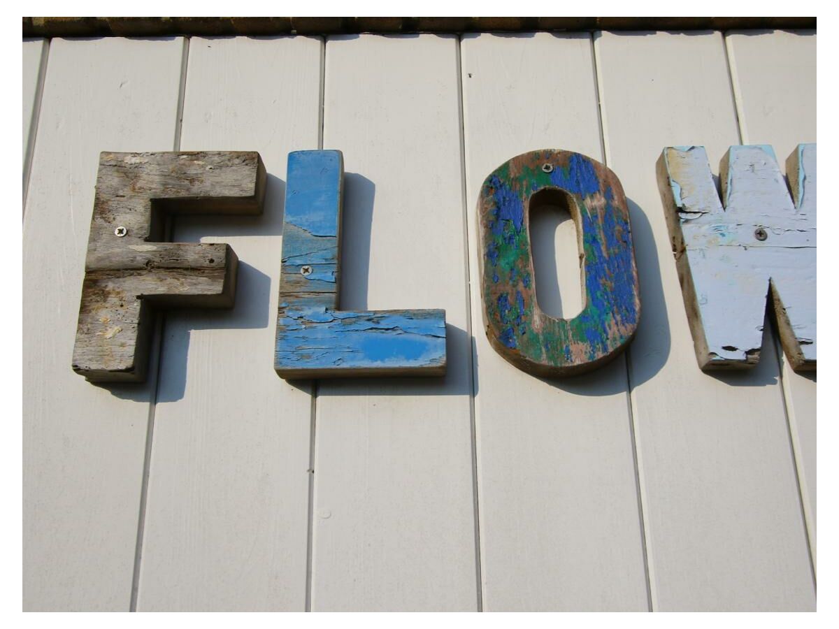 Holiday house Zomerhuis Flow - Outdoor photo 3