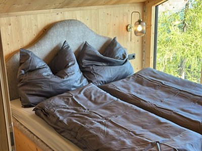 Holiday house Panoramahütte im Skigebiet - Features photo 11