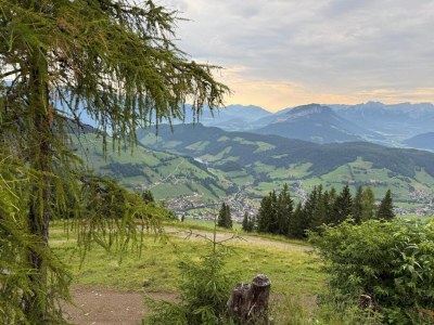 Holiday house Panoramahütte im Skigebiet - Environment photo 26