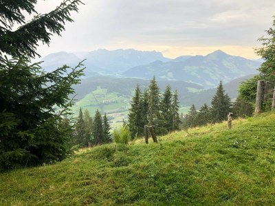 Holiday house Panoramahütte im Skigebiet - Outdoor photo 31