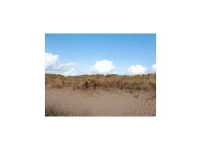 Holiday house Ferienhaus in Breskens am Strand - Environment photo 35