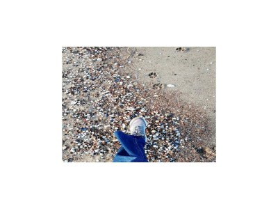 Holiday house Ferienhaus in Breskens am Strand - Environment photo 37