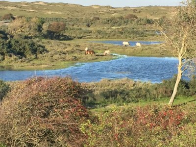 Holiday house Sterflat 189 - Outdoor photo 22