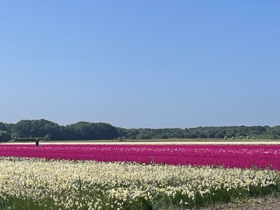 Holiday house Sterflat 67 - Outdoor photo 20