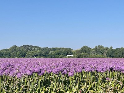 Holiday house Sterflat 67 - Outdoor photo 22