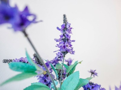 Holiday house Sterflat 83 - Outdoor photo 19