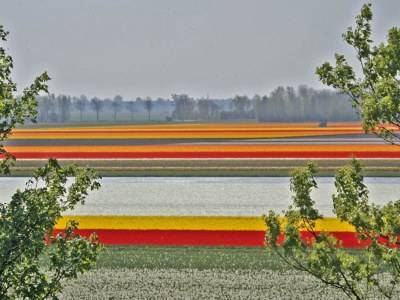 Holiday house Sterflat 85 - Holiday home apartment in Egmond near dunes and beach - Outdoor photo 16