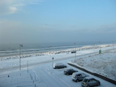 Holiday house Sterflat 85 - Holiday home apartment in Egmond near dunes and beach - Outdoor photo 18