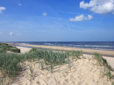 Holiday house Sterflat 85 - Holiday home apartment in Egmond near dunes and beach - Outdoor photo 19