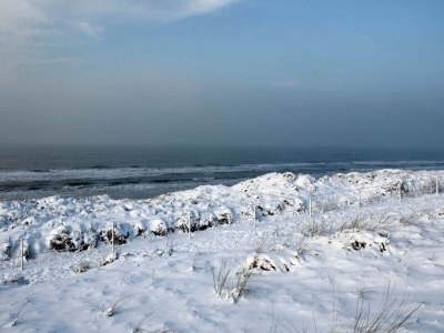 Holiday house Sterflat 85 - Holiday home apartment in Egmond near dunes and beach - Outdoor photo 20