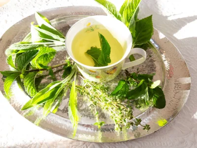 Holiday apartment Landhaus-Suite Wallberg - Features photo 18