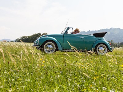 Holiday apartment Landhaus-Suite Wallberg - Environment photo 23