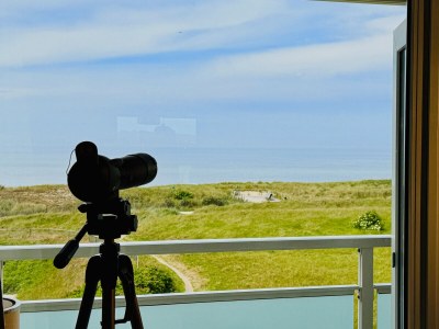 Holiday house Strand Panorama Egmond - Outdoor photo 6