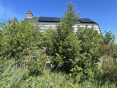 Holiday house Harry aan Zee - Outdoor photo 27