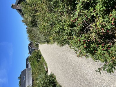 Holiday house Harry aan Zee - Outdoor photo 28