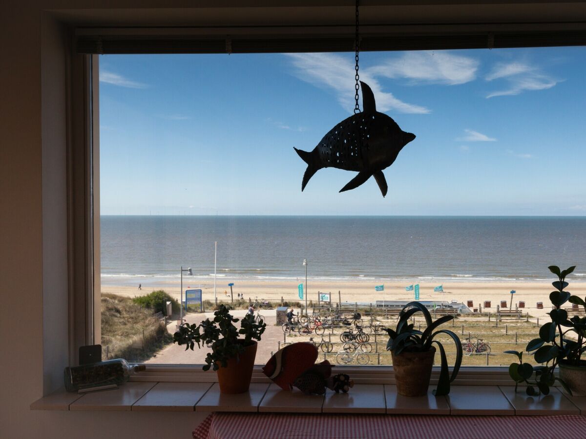 Holiday house Zandpret - Outdoor photo 5