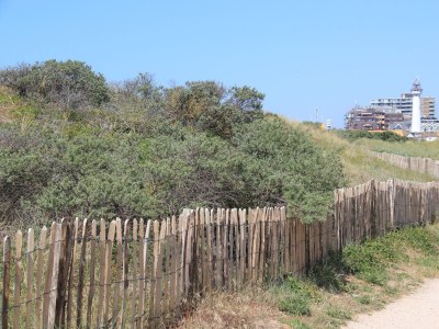 Holiday house Zeehond - Outdoor photo 18