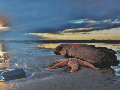 Holiday house Zeepanorama - Outdoor photo 32