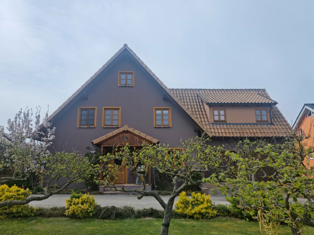 Holiday apartment Grüner Weg 4a - Outdoor photo 3