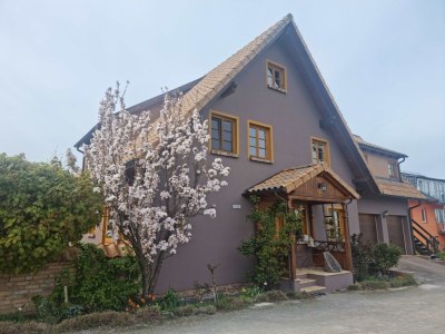 Holiday apartment Grüner Weg 4a in Ostseebad Heringsdorf - Holiday apartment