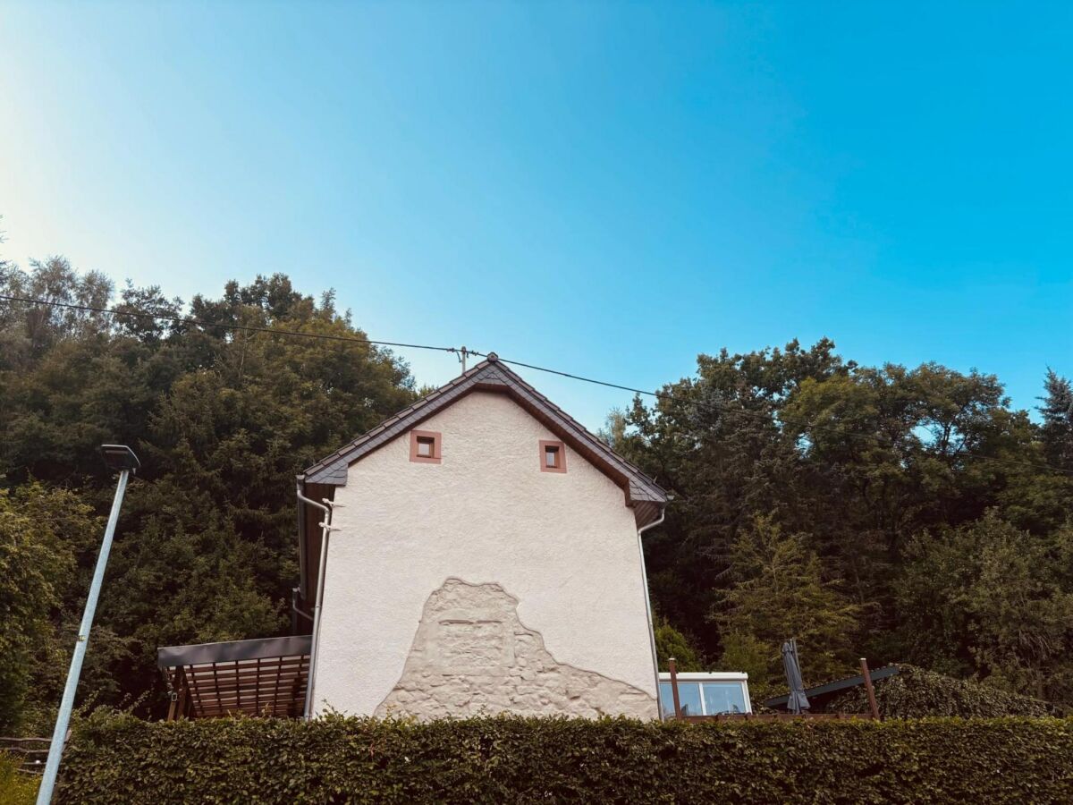 Holiday house Ferienparadies in der Vulkaneifel - Outdoor photo 5