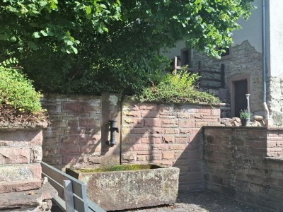 Holiday house Ferienparadies in der Vulkaneifel - Outdoor photo 6