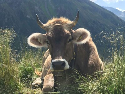 Apartment Tiny Albuin - Outdoor photo 6