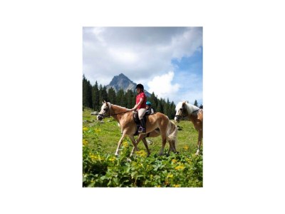 Apartment Apartment/2 Schlafräume/Du od. Bad, WC - Features photo 19