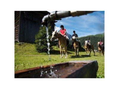 Apartment Apartment/2 Schlafräume/Du od. Bad, WC - Features photo 21