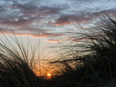 Apartment Strand appartement Zandvoort - Environment photo 19