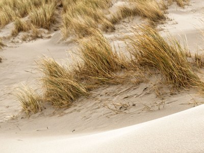 Apartment Strand appartement Zandvoort - Environment photo 22