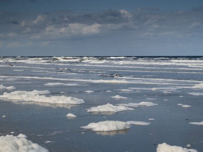 Apartment Strand appartement Zandvoort - Environment photo 24