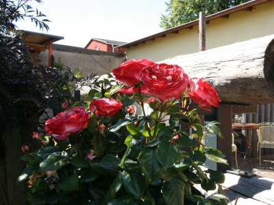 Apartment Modernes Appartement mit Balkon, Wiek - Outdoor photo 10