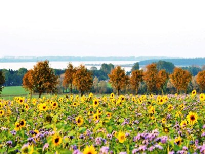Apartment Einladende Ferienwohnung in Wiek mit Garten - Outdoor photo 38