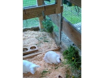 Apartment Appartement/Fewo, Toilette und Bad/Dusche getrennt - Outdoor photo 12