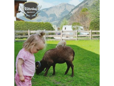 Apartment Appartement/Fewo, Toilette und Bad/Dusche getrennt - Outdoor photo 20