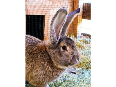 Apartment Appartement/Fewo, Toilette und Bad/Dusche getrennt - Outdoor photo 29