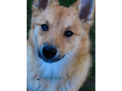 Apartment Appartement/Fewo, Toilette und Bad/Dusche getrennt - Outdoor photo 34