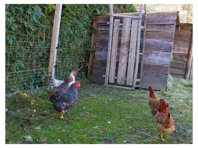 Apartment Appartement/Fewo, Toilette und Bad/Dusche getrennt - Outdoor photo 35