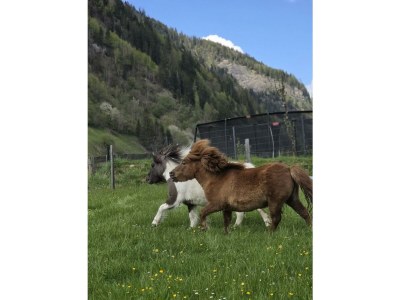 Apartment Appartement/Fewo, Toilette und Bad/Dusche getrennt - Outdoor photo 38