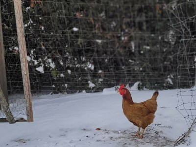 Apartment Appartement/Fewo, Toilette und Bad/Dusche getrennt - Outdoor photo 45