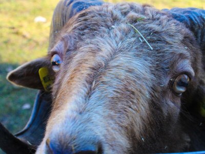 Apartment Appartement/Fewo, Toilette und Bad/Dusche getrennt - Outdoor photo 46