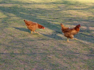 Apartment Appartement/Fewo, Toilette und Bad/Dusche getrennt - Outdoor photo 48