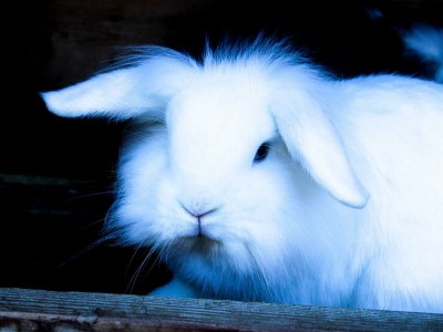 Apartment Appartement/Fewo, Toilette und Bad/Dusche getrennt - Outdoor photo 49