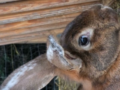 Apartment Appartement/Fewo, Toilette und Bad/Dusche getrennt - Outdoor photo 51