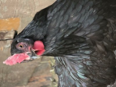 Apartment Appartement/Fewo, Toilette und Bad/Dusche getrennt - Outdoor photo 54