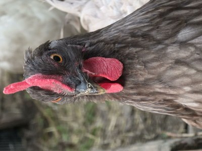 Apartment Appartement/Fewo, Toilette und Bad/Dusche getrennt - Outdoor photo 58