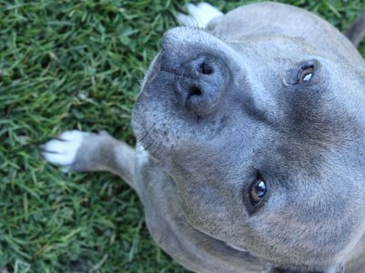 Apartment Appartement/Fewo, Toilette und Bad/Dusche getrennt - Outdoor photo 59